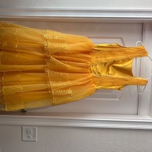 Beauty and the Beast costume